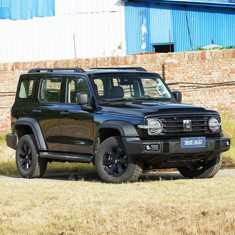 
                2023 Большой настенный компактный полноразмерный SUV Танк 300 Jeep Внедорожник внедорожник, Китай, роскошный внедорожник, 4X4, АКПП, 2,0 т. 4WD 5 сидений подержанные автомобили
            