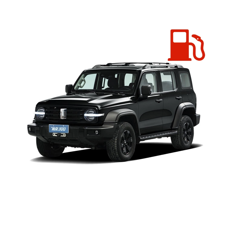 
                Venta caliente tanque 300 Gas Car SUV GWM Compact Electric Coche SUV vehículo Gran pared tanque coche Sport gasolina coche
            