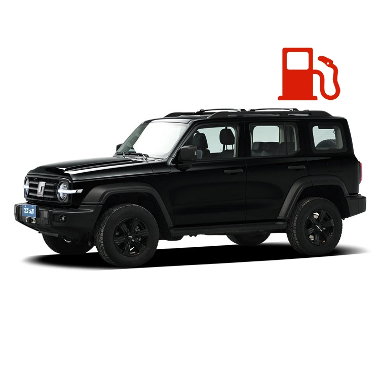 Hot Sale Tank 300 Gas Car SUV Gwm Tank 300 Compact SUV Vehicle Great Wall Tank Car Sport Gasoline Car