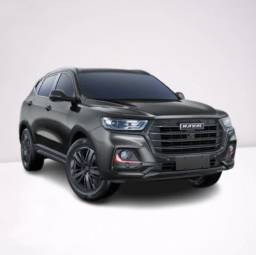 High Performance Electric Car Electric Car Haval H6 Phev (110KM YueXing version) for Sale