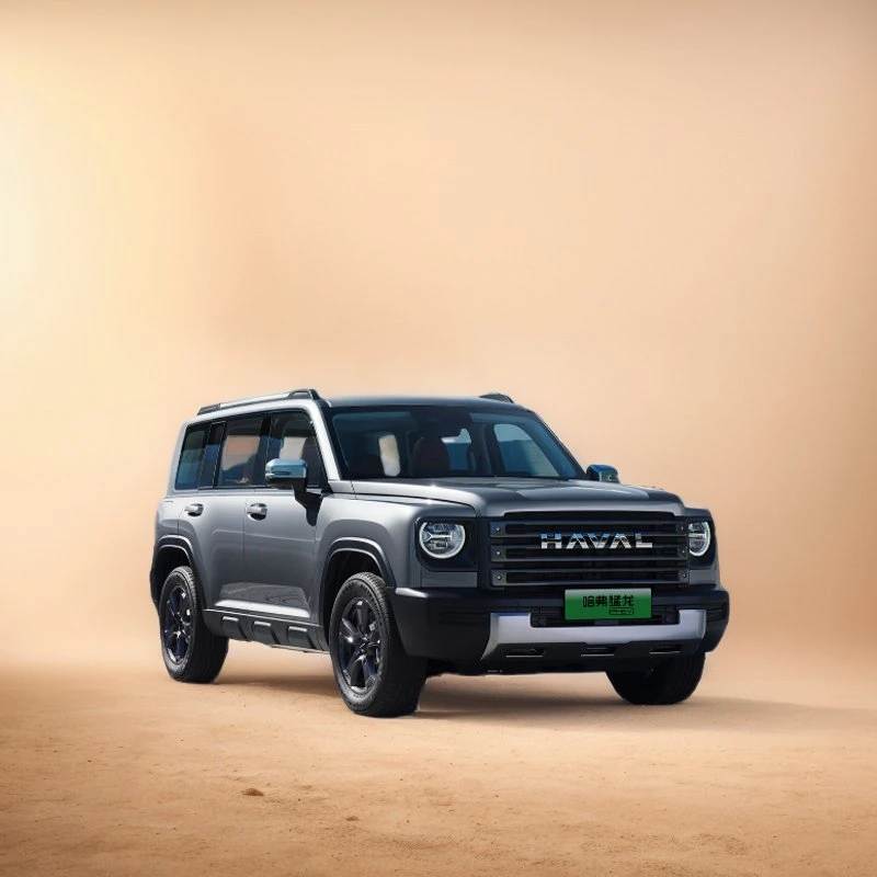 
                2023 Super Wall car Menglong PHEV SUV haute performance Nouveau Et voiture d′occasion à vendre
            