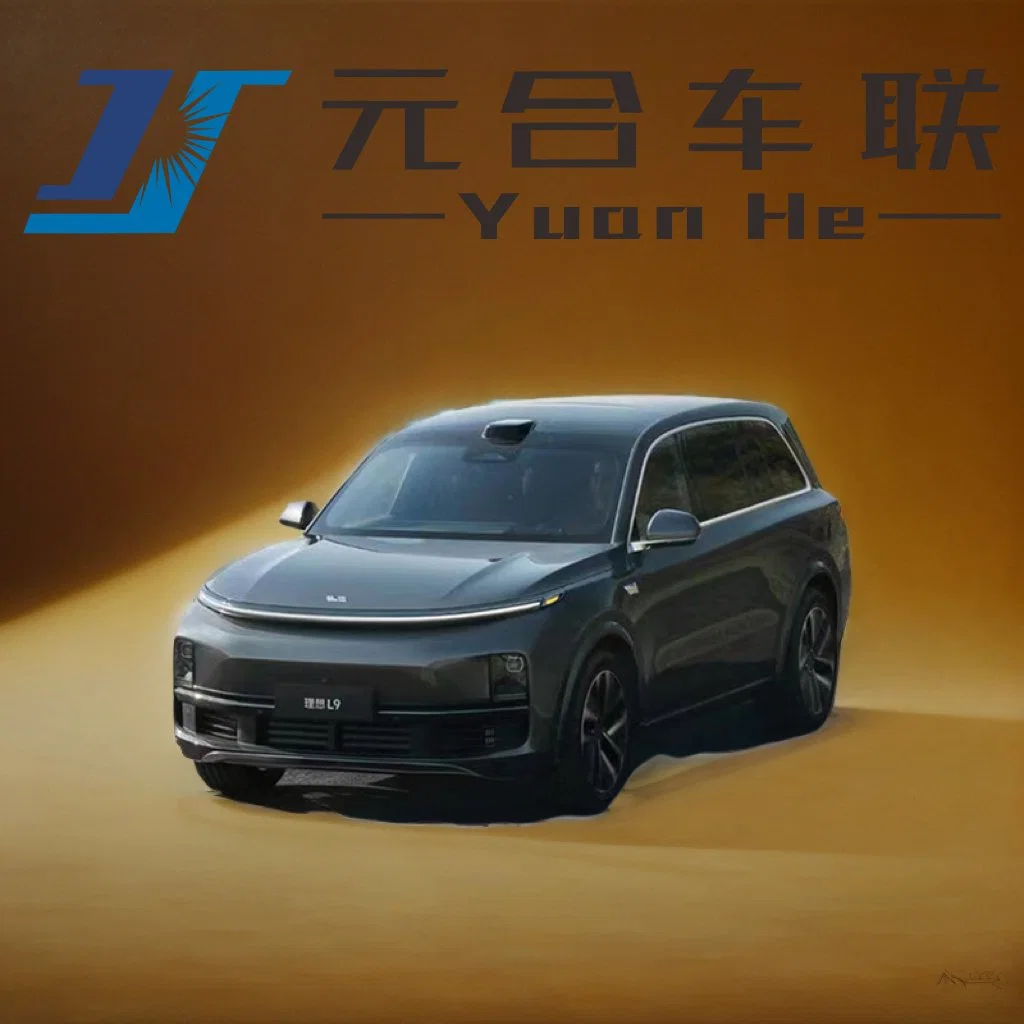 China Luxury 6 Seats New Energy SUV