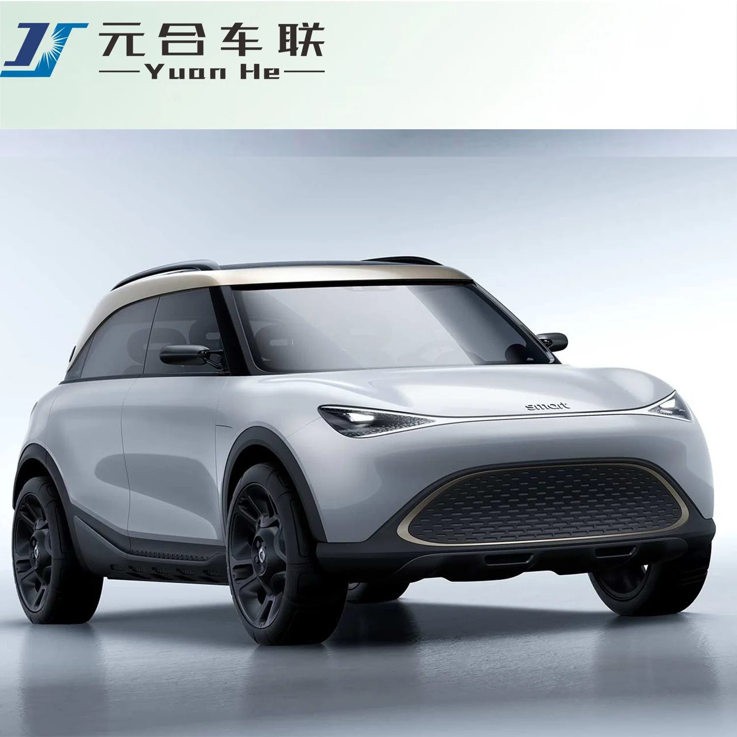 EV SUV Pure Electric 2022 EV Electric Cars Smart Car Vehicle Small SUV Pure Electric High Speed Electric Car 5 Doors 5seats